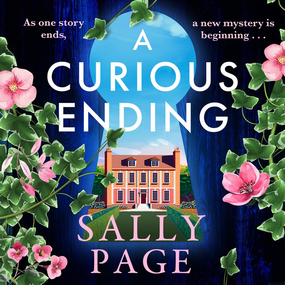 A Curious Ending by Sally Page