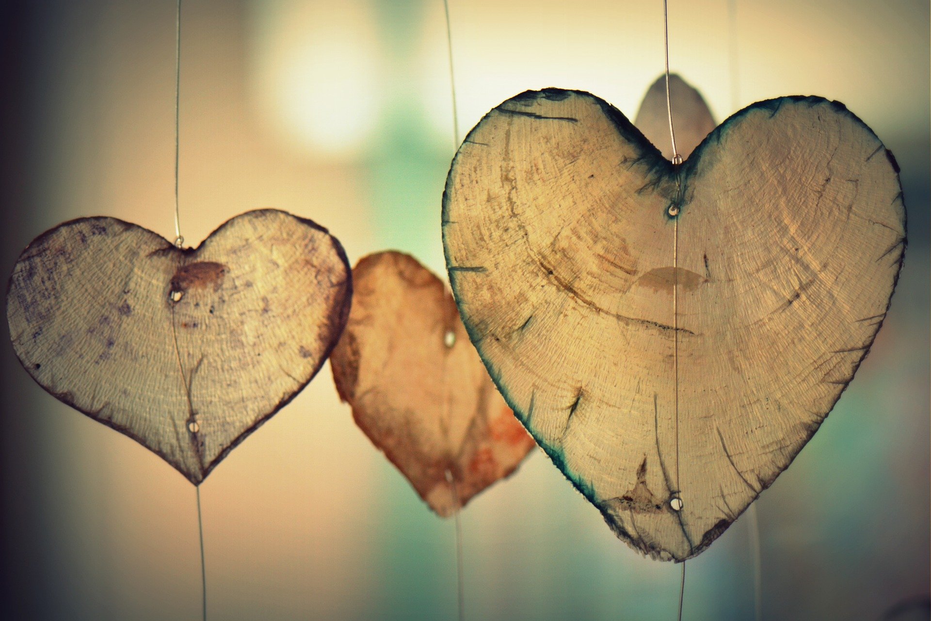 Valentine's Day: Love It?
